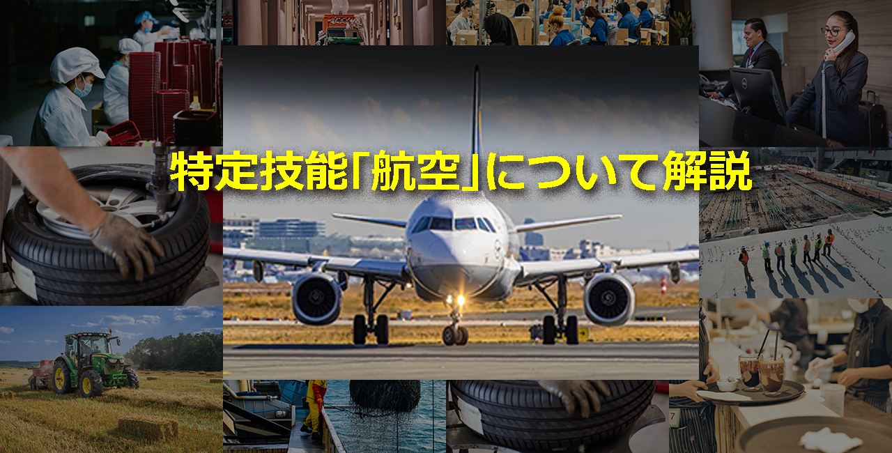 特定技能「航空」アイキャッチ画像